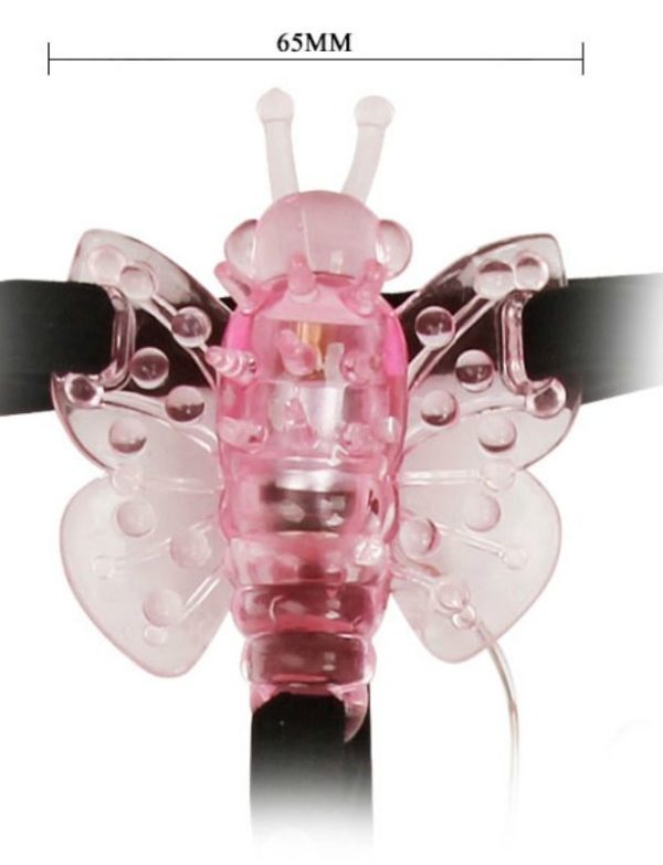 PAPILLON AVEC HARNAIS VIBRANT